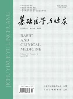 基础医学与临床